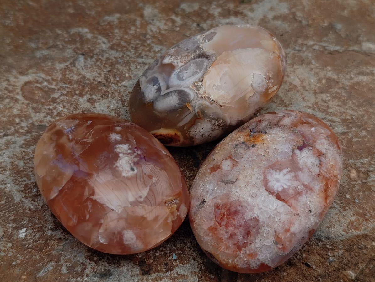 Polished Flower Agate Palm Stones x 12 From Antsahalova, Madagascar - Toprock Gemstones and Minerals 