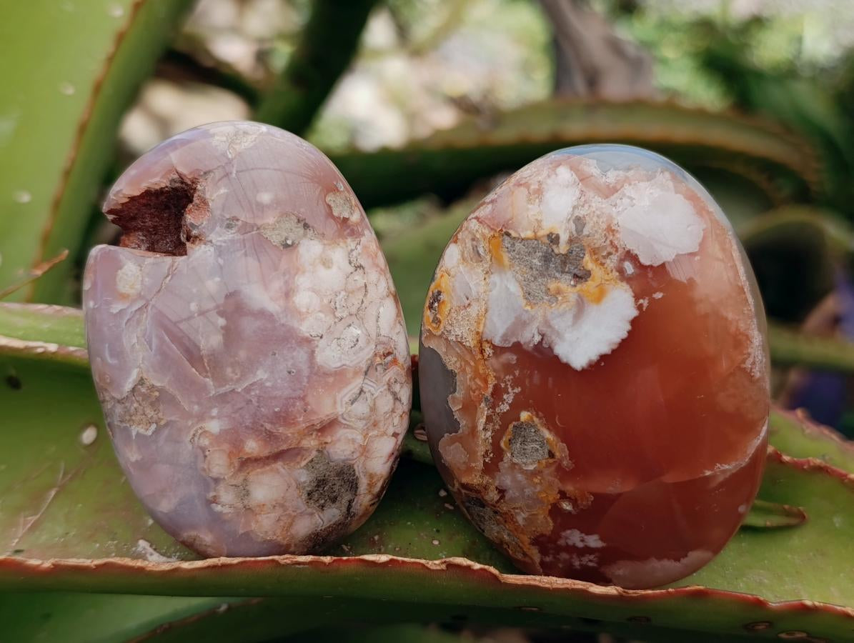 Polished Flower Agate Palm Stones x 12 From Antsahalova, Madagascar - Toprock Gemstones and Minerals 