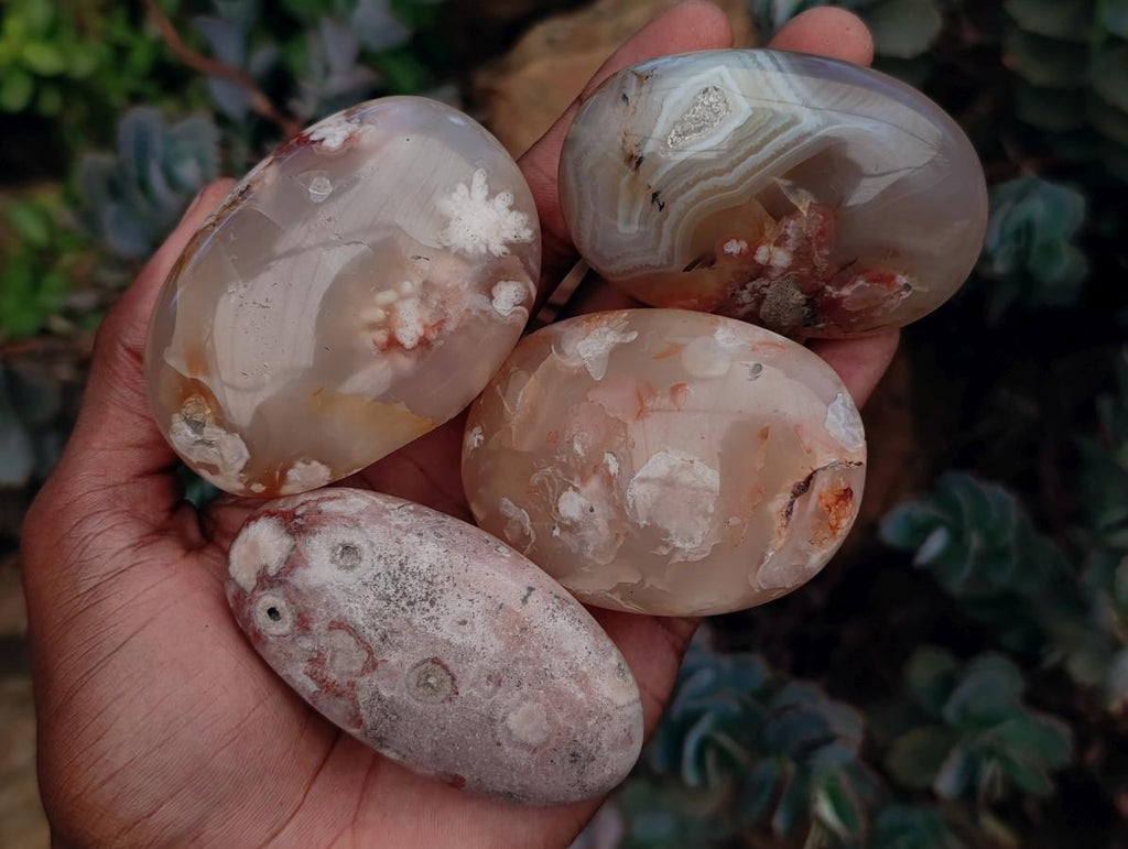 Polished Flower Agate Palm Stones x 12 From Antsahalova, Madagascar - Toprock Gemstones and Minerals 