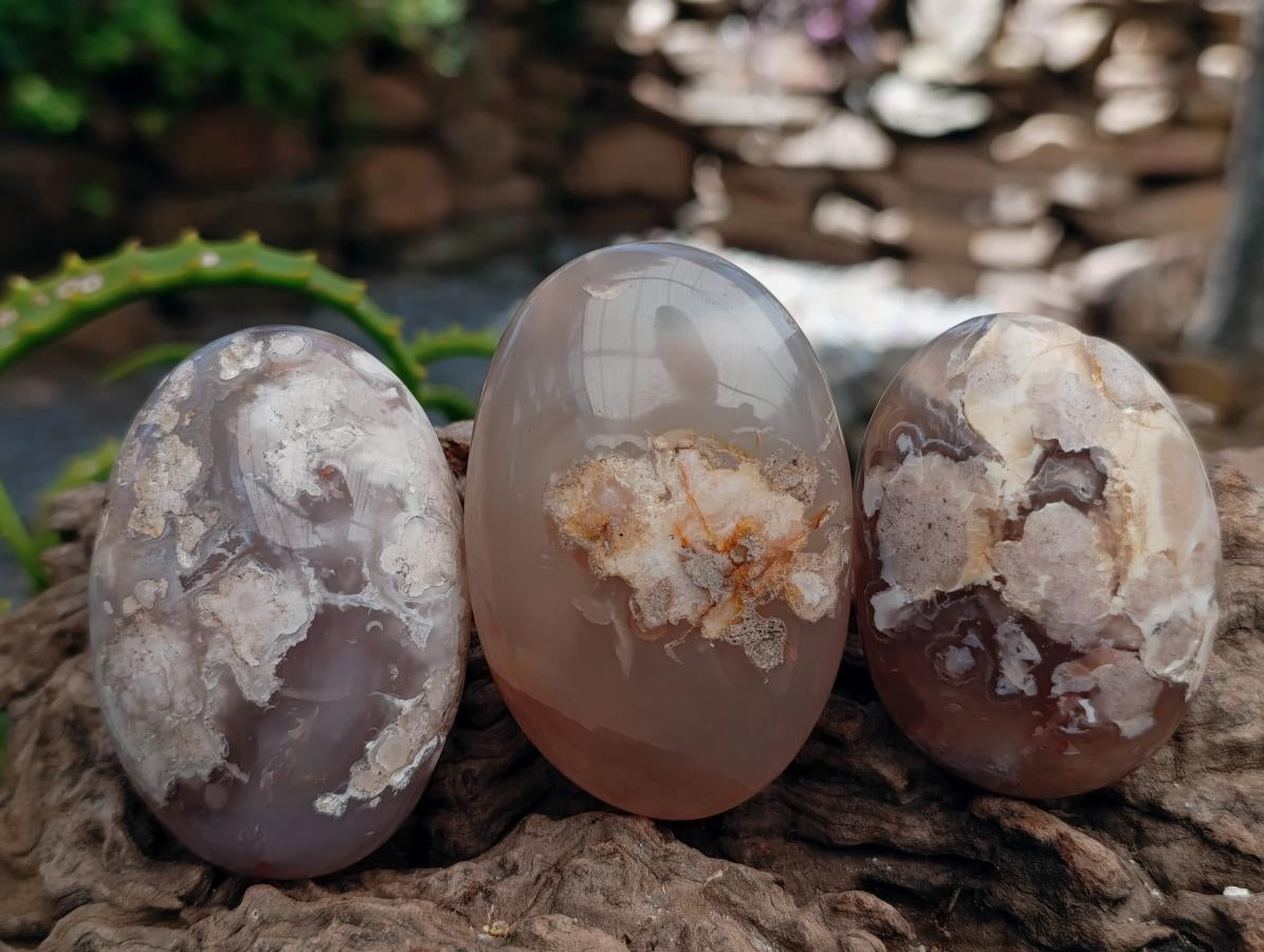 Polished Flower Agate Palm Stones x 12 From Antsahalova, Madagascar - Toprock Gemstones and Minerals 