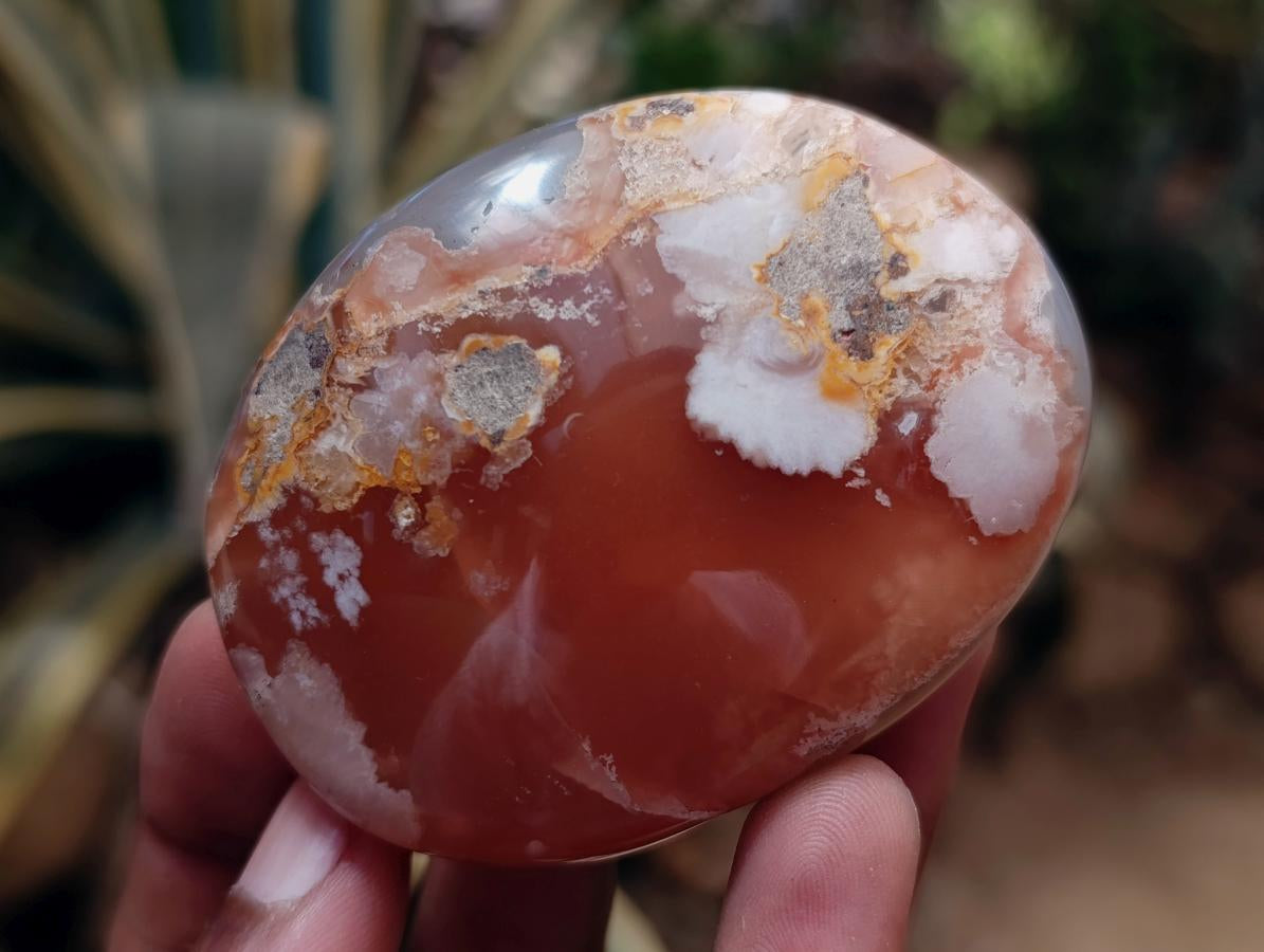 Polished Flower Agate Palm Stones x 12 From Antsahalova, Madagascar - Toprock Gemstones and Minerals 