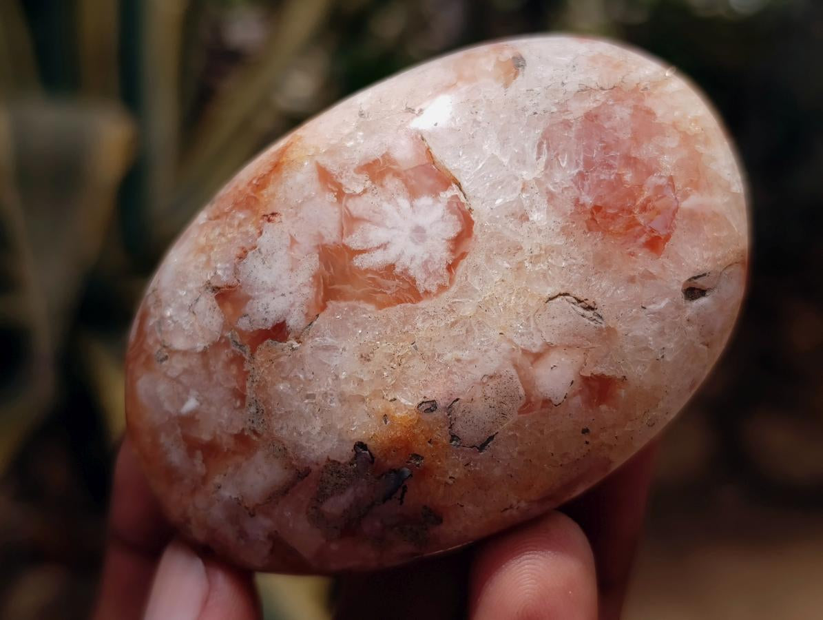Polished Flower Agate Palm Stones x 12 From Antsahalova, Madagascar - Toprock Gemstones and Minerals 