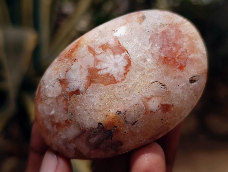 Polished Flower Agate Palm Stones x 12 From Antsahalova, Madagascar - Toprock Gemstones and Minerals 