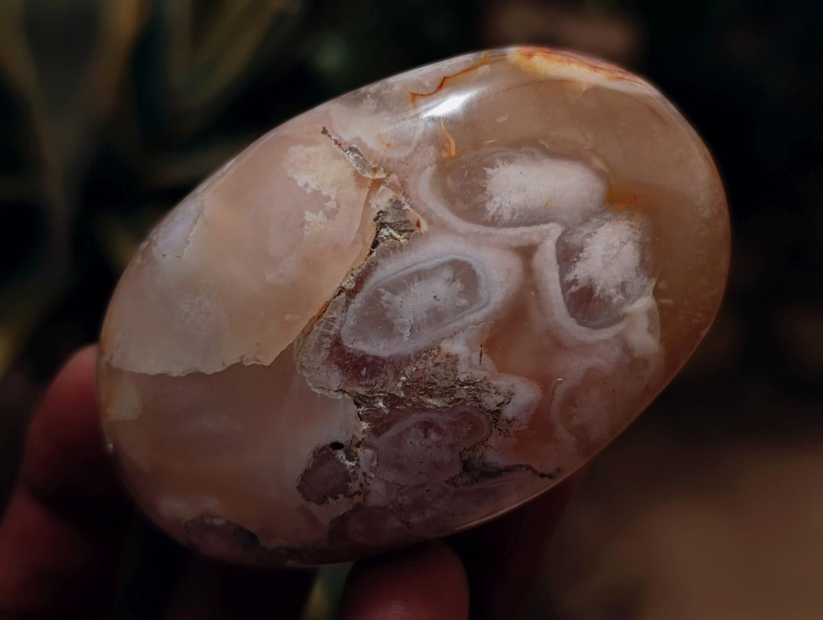 Polished Flower Agate Palm Stones x 12 From Antsahalova, Madagascar - Toprock Gemstones and Minerals 