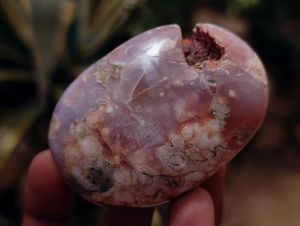 Polished Flower Agate Palm Stones x 12 From Antsahalova, Madagascar - Toprock Gemstones and Minerals 