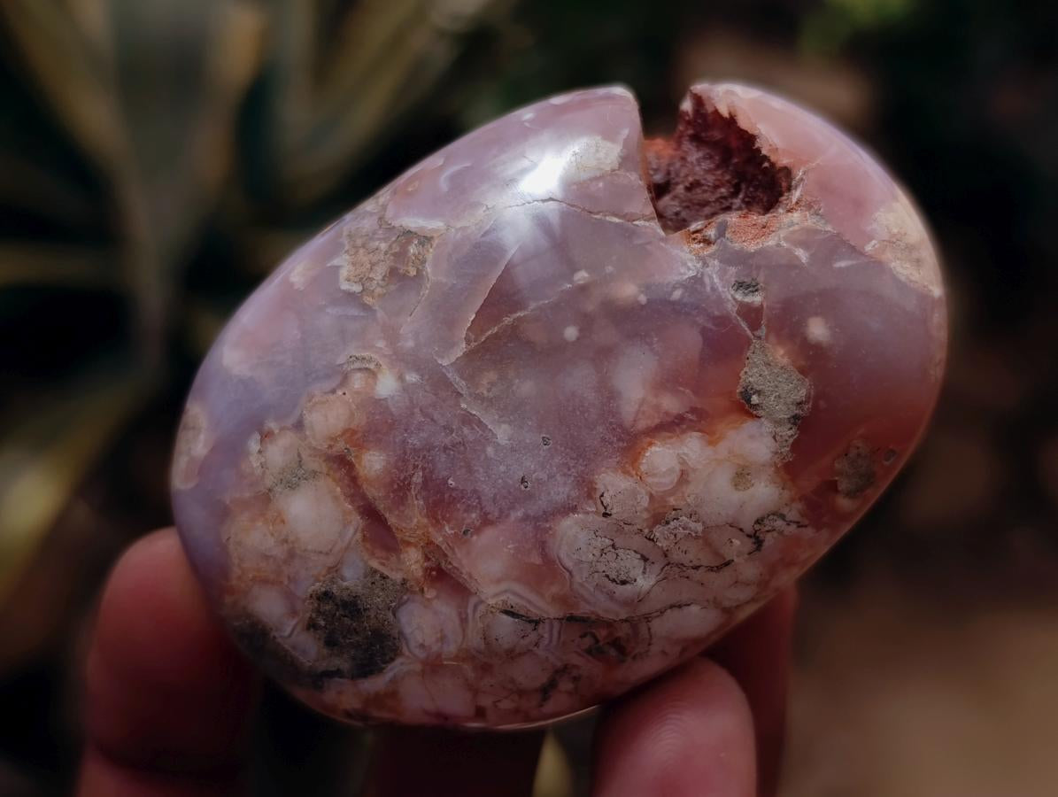 Polished Flower Agate Palm Stones x 12 From Antsahalova, Madagascar - Toprock Gemstones and Minerals 