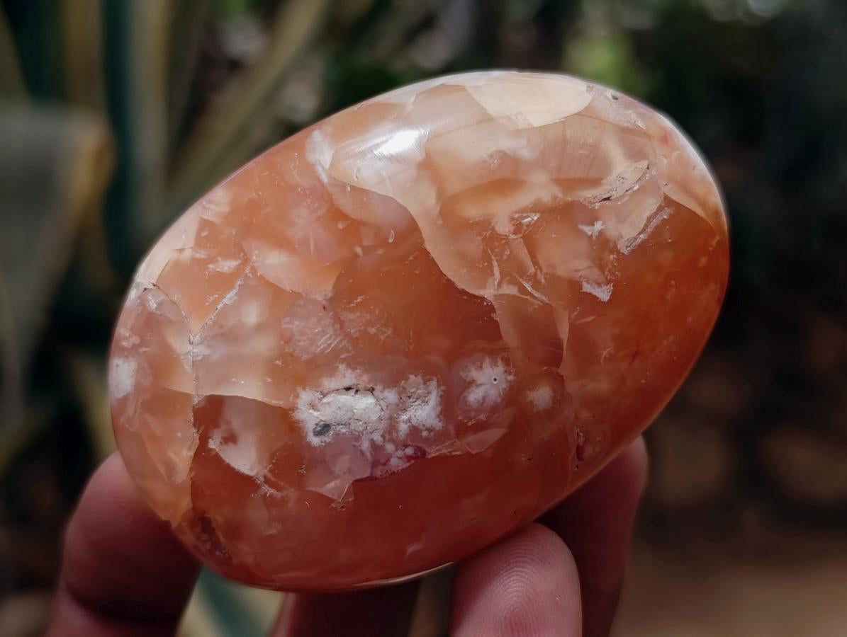 Polished Flower Agate Palm Stones x 12 From Antsahalova, Madagascar - Toprock Gemstones and Minerals 