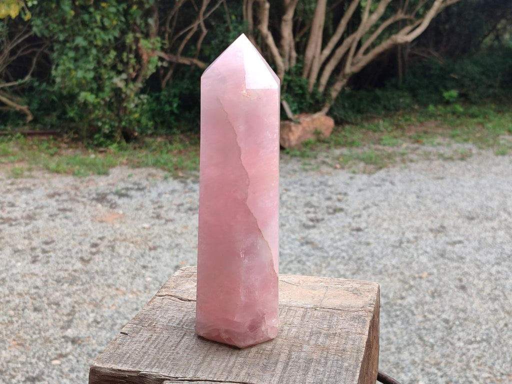 Polished Large Gemmy Rose Quartz Crystal Tower Point x 1 From Madagascar - Toprock Gemstones and Minerals 