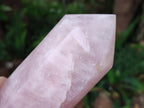 Polished Large Gemmy Rose Quartz Crystal Tower Point x 1 From Madagascar - Toprock Gemstones and Minerals 