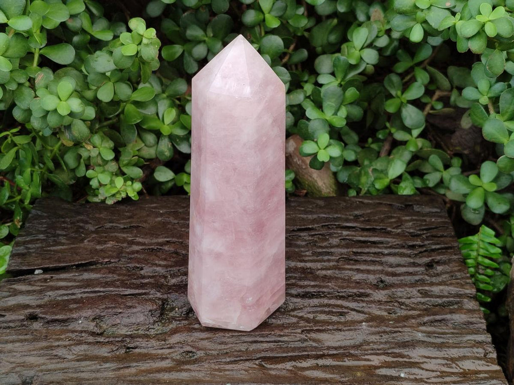 Polished Large Gemmy Rose Quartz Crystal Tower Point x 1 From Madagascar - Toprock Gemstones and Minerals 