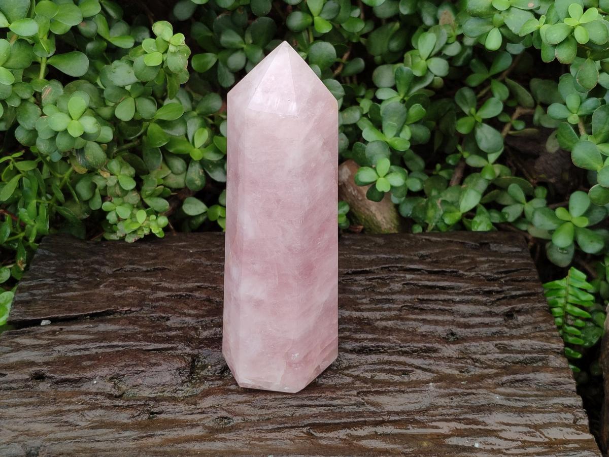 Polished Large Gemmy Rose Quartz Crystal Tower Point x 1 From Madagascar - Toprock Gemstones and Minerals 