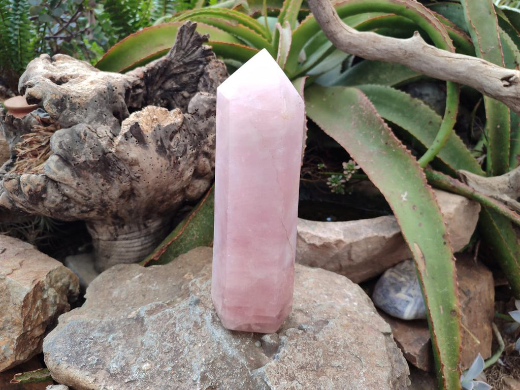 Polished Large Gemmy Rose Quartz Crystal Tower Point x 1 From Madagascar - Toprock Gemstones and Minerals 