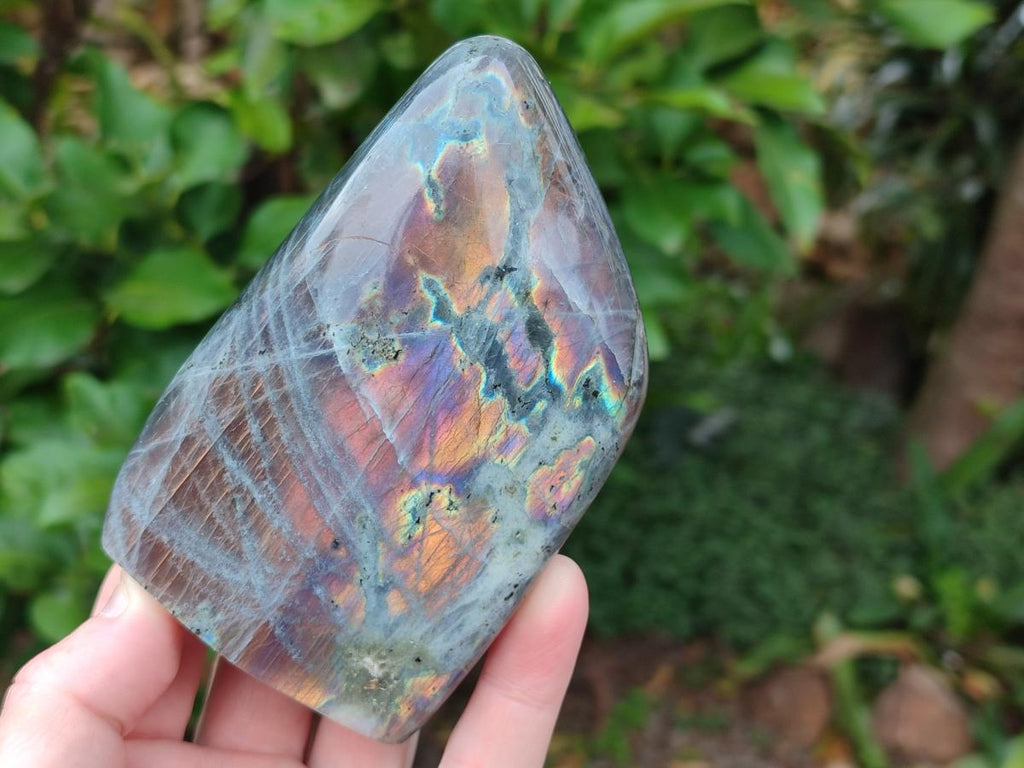 Polished Rare Purple Sunset Flash Labradorite Standing Free Forms x 3 From Madagascar - Toprock Gemstones and Minerals 