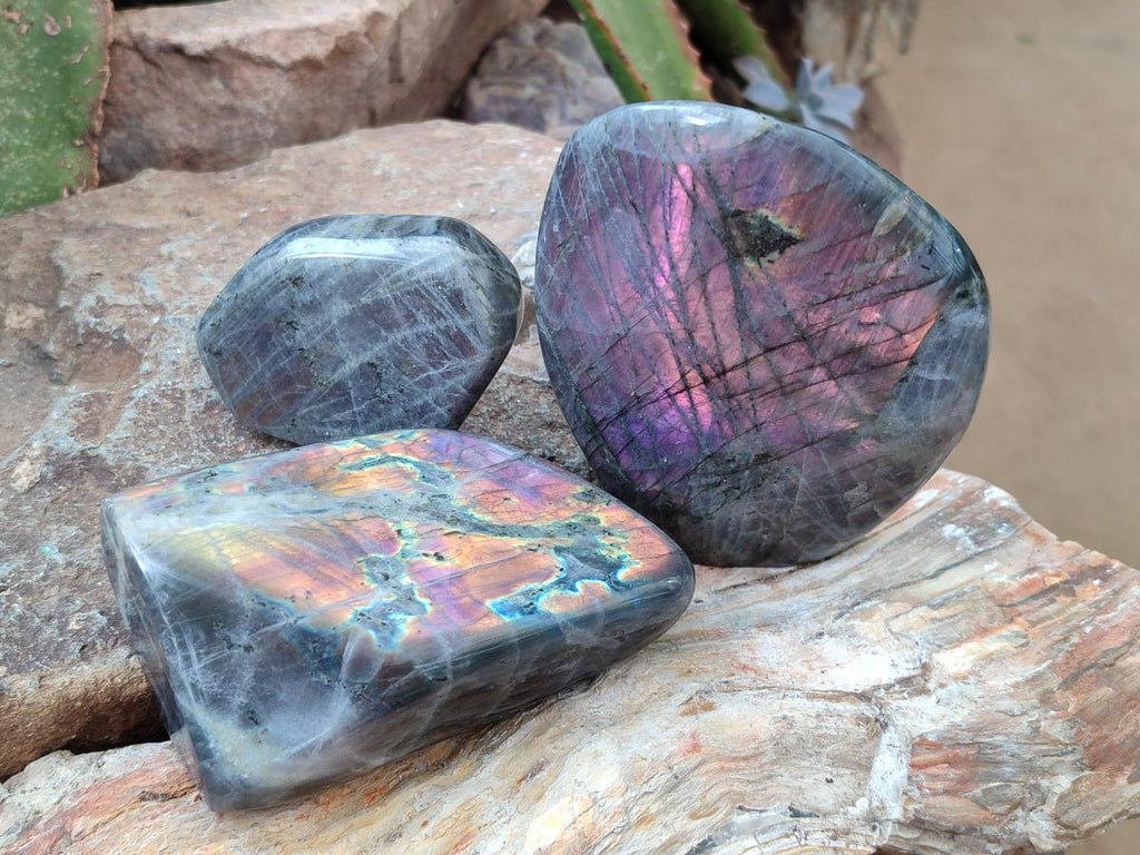 Polished Rare Purple Sunset Flash Labradorite Standing Free Forms x 3 From Madagascar - Toprock Gemstones and Minerals 
