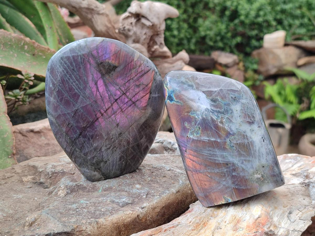 Polished Rare Purple Sunset Flash Labradorite Standing Free Forms x 3 From Madagascar - Toprock Gemstones and Minerals 