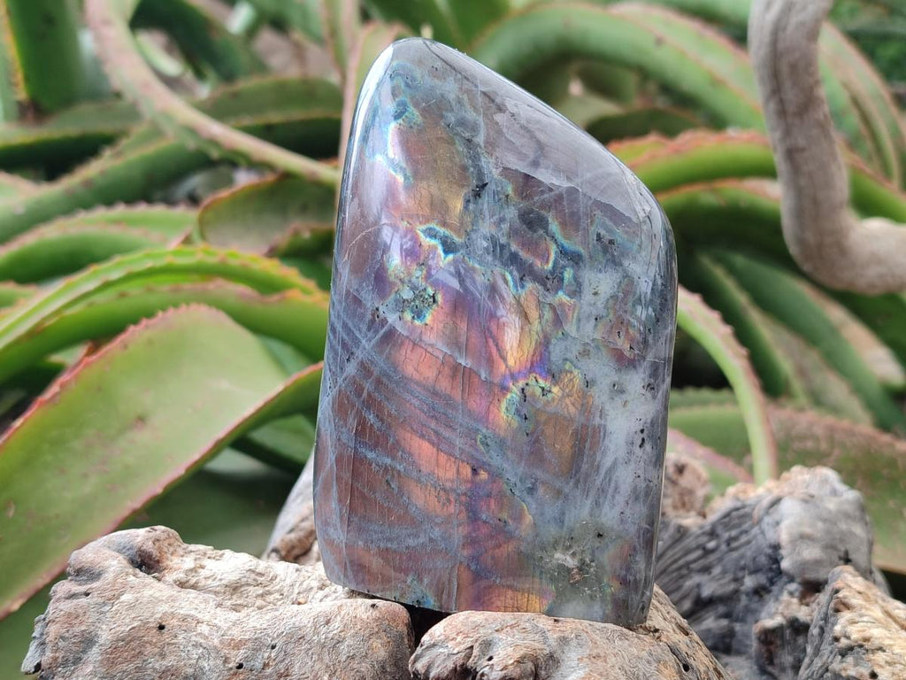 Polished Rare Purple Sunset Flash Labradorite Standing Free Forms x 3 From Madagascar - Toprock Gemstones and Minerals 