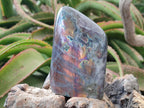 Polished Rare Purple Sunset Flash Labradorite Standing Free Forms x 3 From Madagascar - Toprock Gemstones and Minerals 