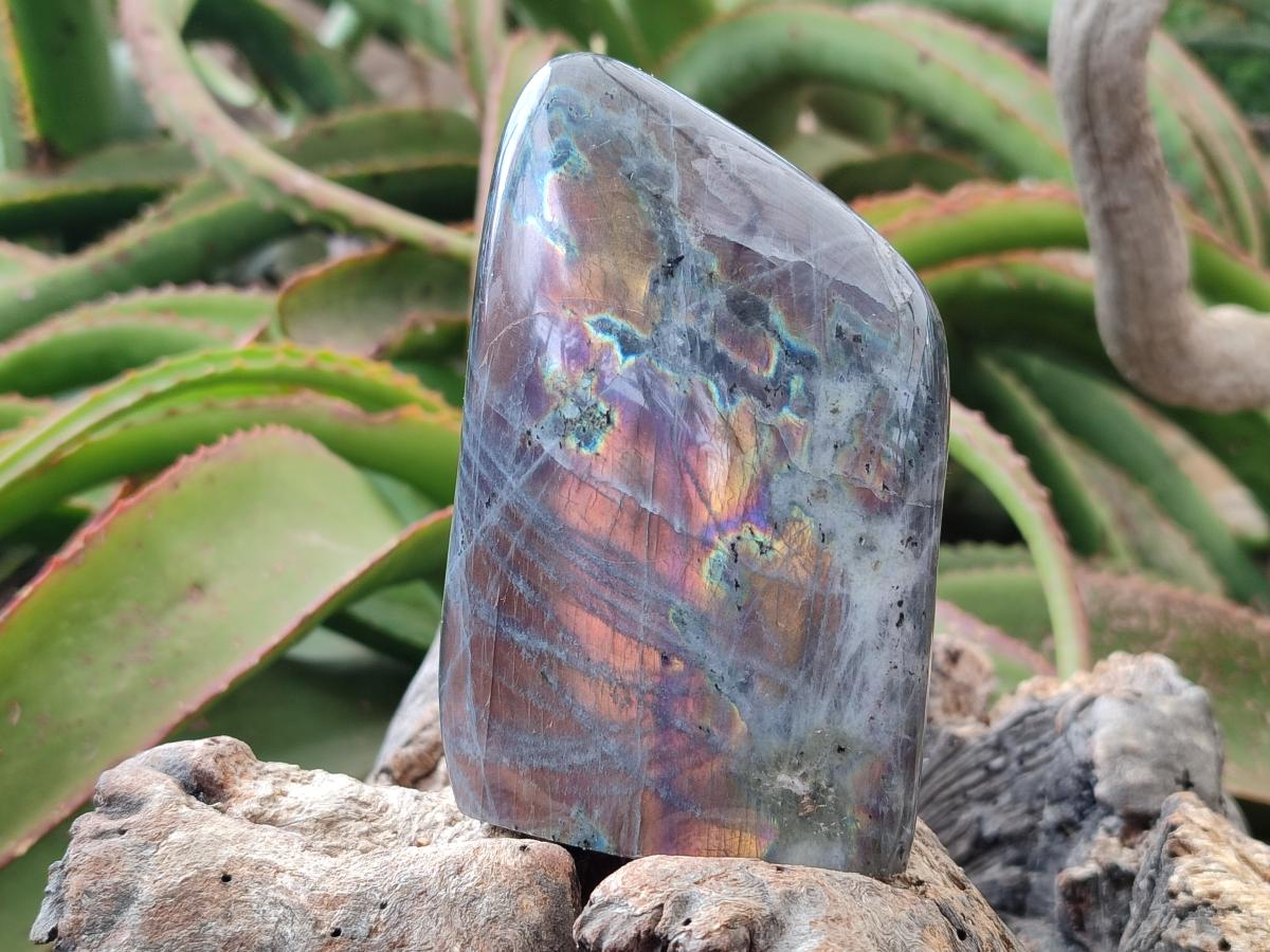 Polished Rare Purple Sunset Flash Labradorite Standing Free Forms x 3 From Madagascar - Toprock Gemstones and Minerals 