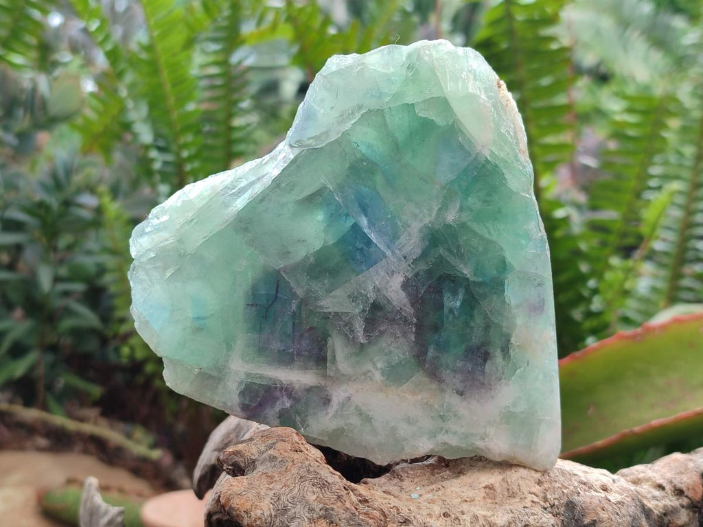 Polished On One Side Watermelon Fluorite Specimens x 4 From Uis, Namibia - Toprock Gemstones and Minerals 