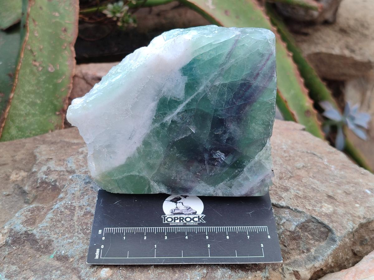 Polished On One Side Watermelon Fluorite Specimens x 4 From Uis, Namibia - Toprock Gemstones and Minerals 