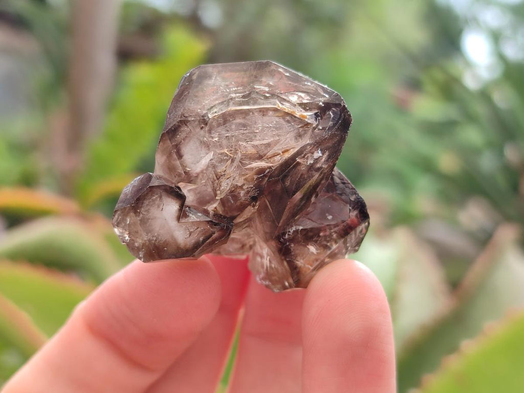 Natural Mix of Smokey, Clear and Amethyst Quartz Crystals x 20 From Brandberg, Namibia - Toprock Gemstones and Minerals 