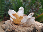 Natural Mix of Smokey, Clear and Amethyst Quartz Crystals x 20 From Brandberg, Namibia - Toprock Gemstones and Minerals 