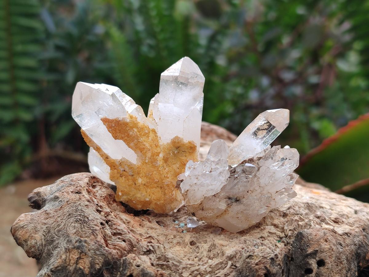Natural Mix of Smokey, Clear and Amethyst Quartz Crystals x 20 From Brandberg, Namibia - Toprock Gemstones and Minerals 