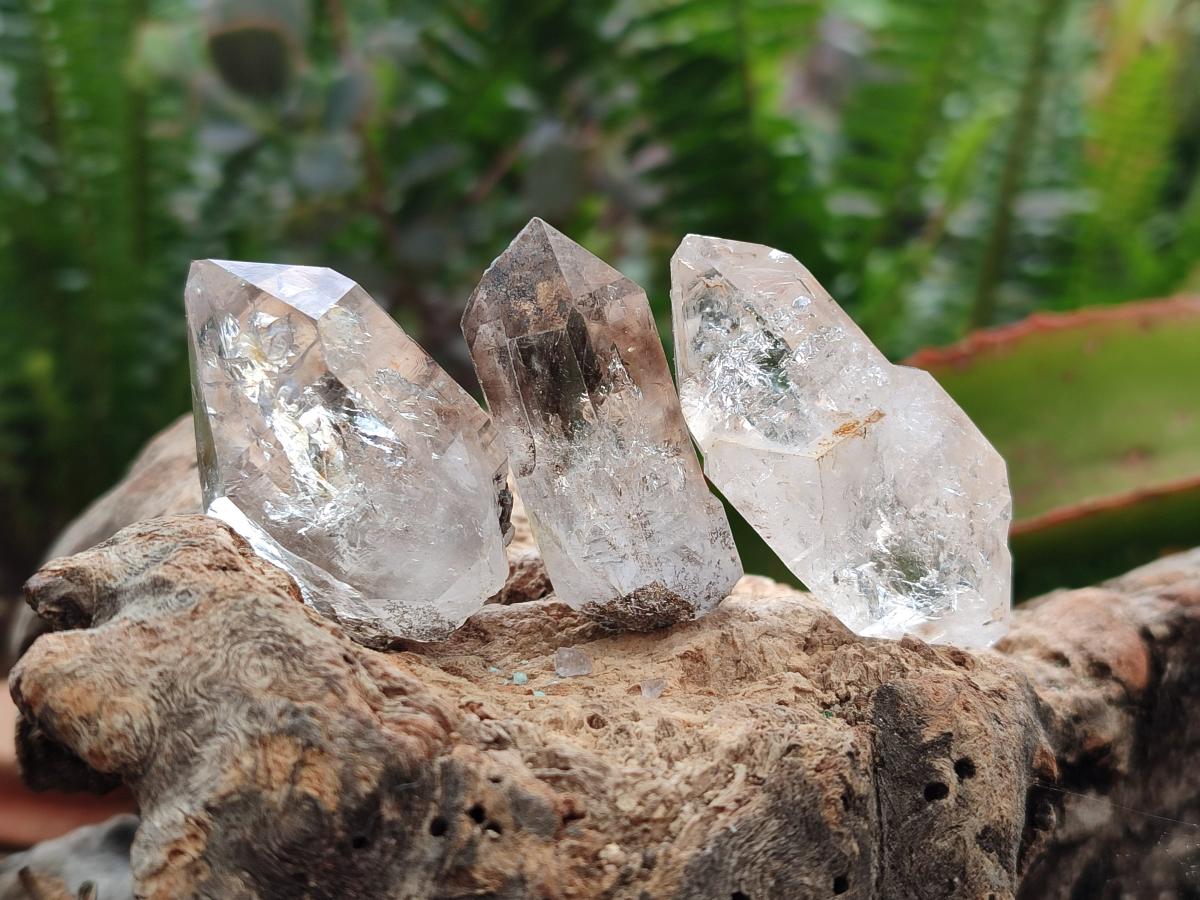 Natural Mix of Smokey, Clear and Amethyst Quartz Crystals x 20 From Brandberg, Namibia - Toprock Gemstones and Minerals 