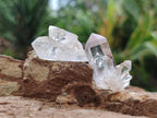 Natural Mix of Smokey, Clear and Amethyst Quartz Crystals x 20 From Brandberg, Namibia - Toprock Gemstones and Minerals 