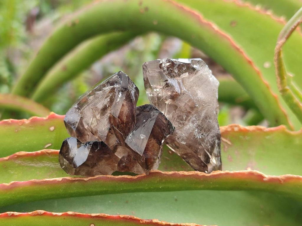 Natural Mix of Smokey, Clear and Amethyst Quartz Crystals x 20 From Brandberg, Namibia - Toprock Gemstones and Minerals 