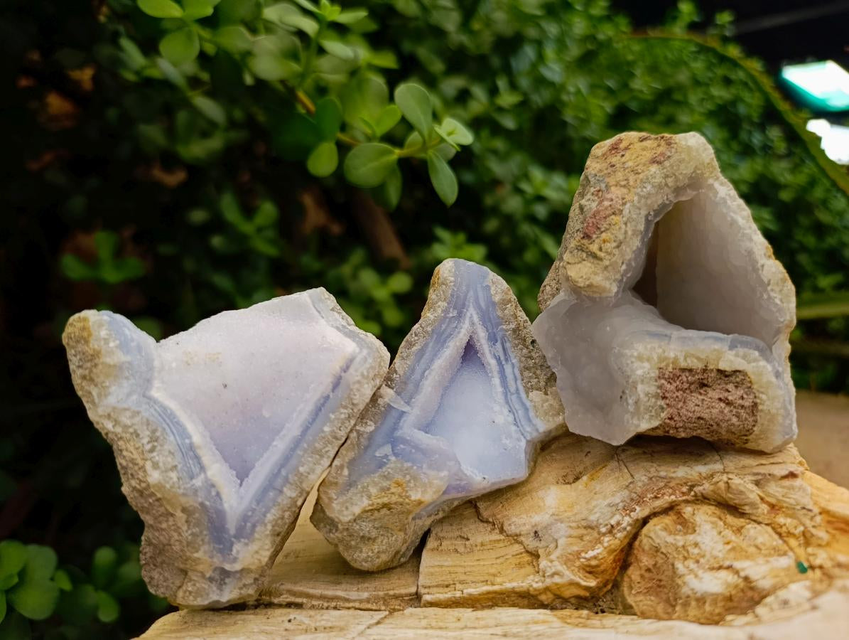 Natural Blue Lace Agate Geode Specimens x 12 From Nsanje, Malawi - Toprock Gemstones and Minerals 