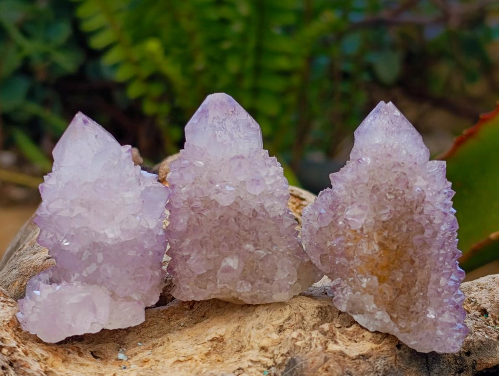 Natural Lilac Amethyst Spirit Clusters x 24 From Boekenhouthoek, South Africa - Toprock Gemstones and Minerals 