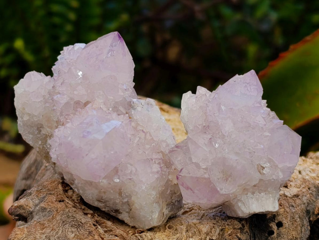Natural Lilac Amethyst Spirit Clusters x 24 From Boekenhouthoek, South Africa - Toprock Gemstones and Minerals 