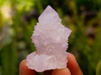 Natural Lilac Amethyst Spirit Clusters x 24 From Boekenhouthoek, South Africa - Toprock Gemstones and Minerals 