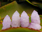 Natural Lilac Amethyst Spirit Clusters x 24 From Boekenhouthoek, South Africa - Toprock Gemstones and Minerals 