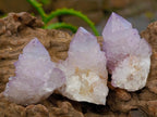 Natural Lilac Amethyst Spirit Clusters x 24 From Boekenhouthoek, South Africa - Toprock Gemstones and Minerals 