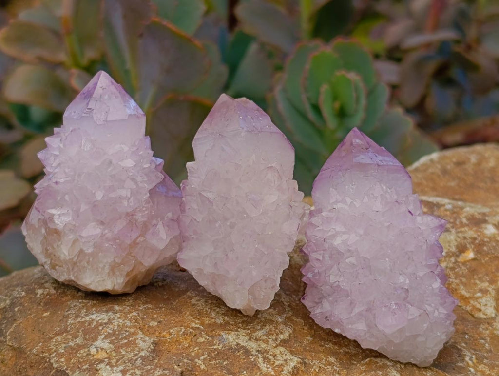 Natural Lilac Amethyst Spirit Clusters x 24 From Boekenhouthoek, South Africa - Toprock Gemstones and Minerals 