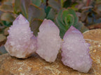 Natural Lilac Amethyst Spirit Clusters x 24 From Boekenhouthoek, South Africa - Toprock Gemstones and Minerals 