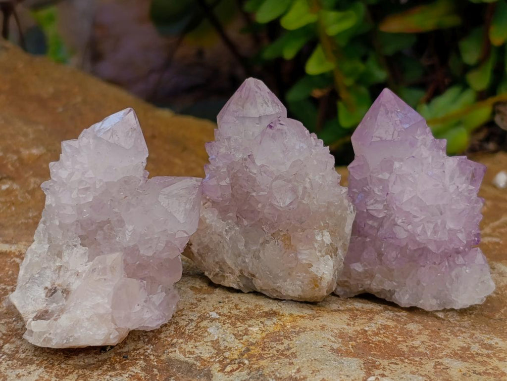Natural Lilac Amethyst Spirit Clusters x 24 From Boekenhouthoek, South Africa - Toprock Gemstones and Minerals 