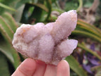 Natural Lilac Amethyst Spirit Quartz Clusters x 12 From Boekenhouthoek, South Africa - Toprock Gemstones and Minerals 