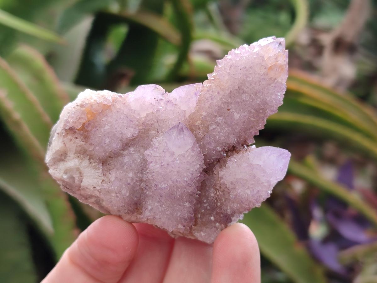 Natural Lilac Amethyst Spirit Quartz Clusters x 12 From Boekenhouthoek, South Africa - Toprock Gemstones and Minerals 