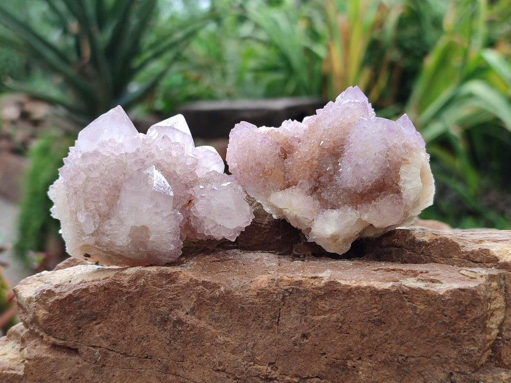 Natural Lilac Amethyst Spirit Quartz Clusters x 12 From Boekenhouthoek, South Africa - Toprock Gemstones and Minerals 