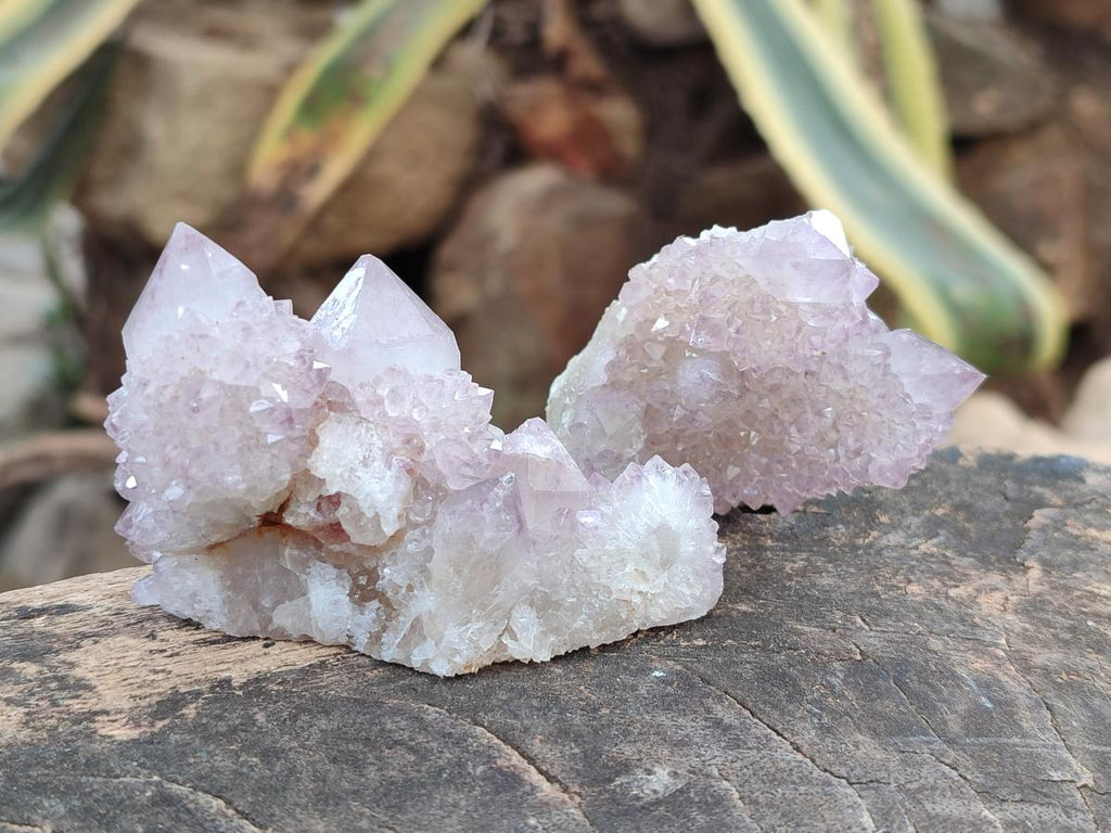 Natural Lilac Amethyst Spirit Quartz Clusters x 12 From Boekenhouthoek, South Africa - Toprock Gemstones and Minerals 
