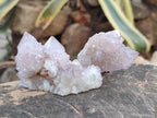 Natural Lilac Amethyst Spirit Quartz Clusters x 12 From Boekenhouthoek, South Africa - Toprock Gemstones and Minerals 