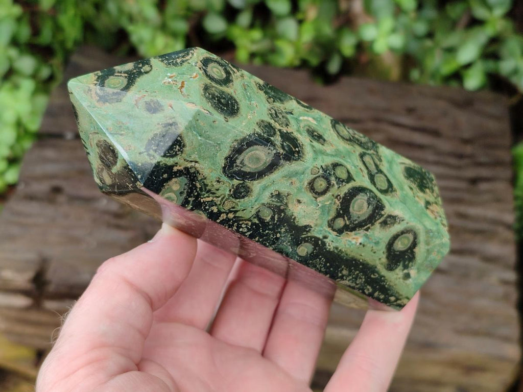 Polished Stromatolite Display Crystals x 2 From Katsepy, Madagascar - Toprock Gemstones and Minerals 