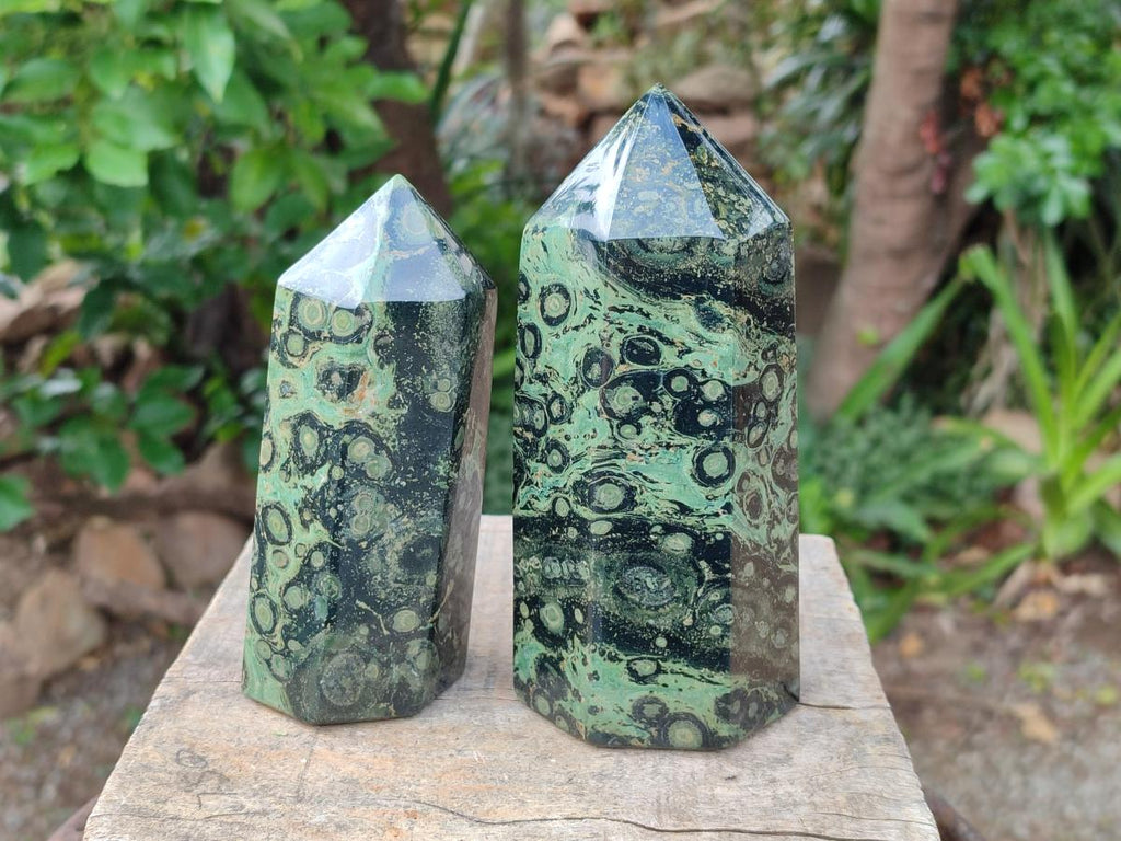 Polished Stromatolite Display Crystals x 2 From Katsepy, Madagascar - Toprock Gemstones and Minerals 