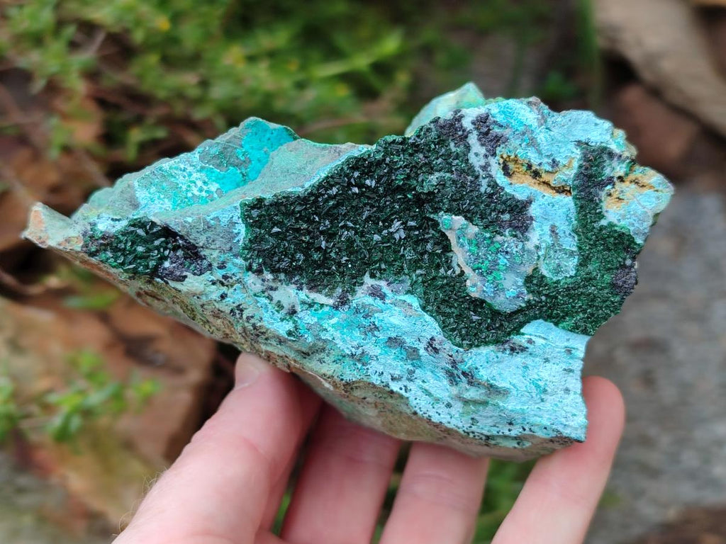 Natural Drusy Coated Chrysocolla with Malachite and Dendritic Psilomelane Specimens x 3 From Likasi, Congo - Toprock Gemstones and Minerals 