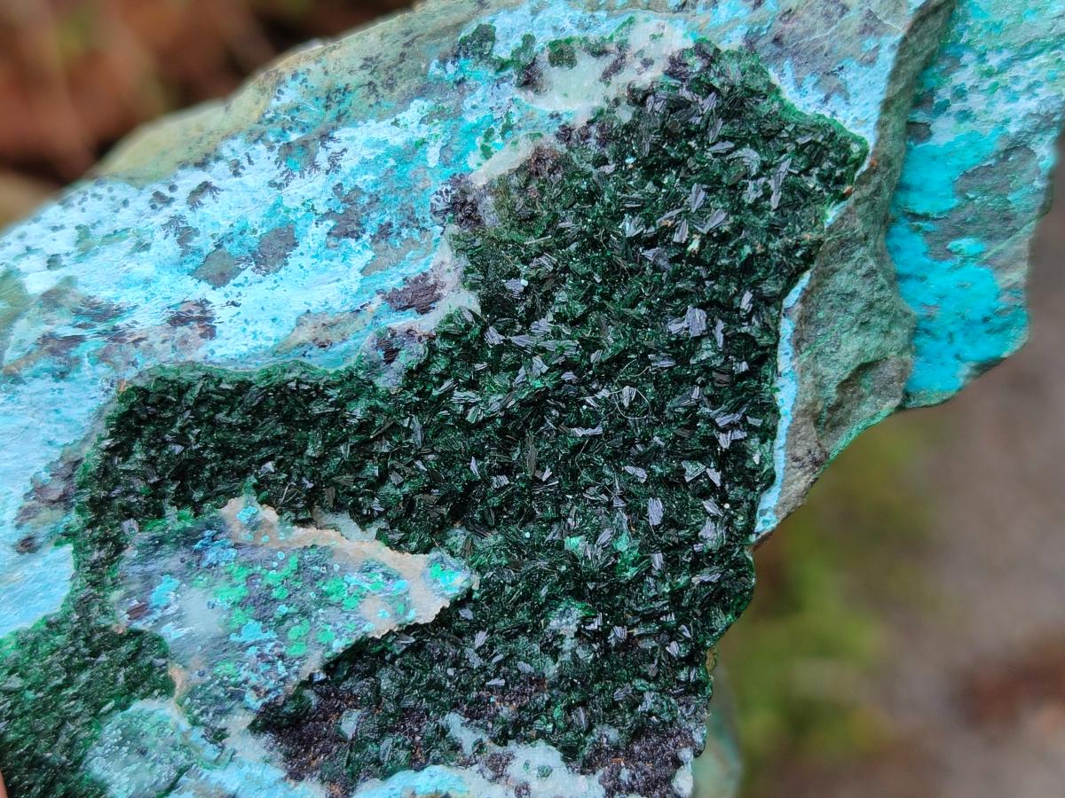 Natural Drusy Coated Chrysocolla with Malachite and Dendritic Psilomelane Specimens x 3 From Likasi, Congo - Toprock Gemstones and Minerals 