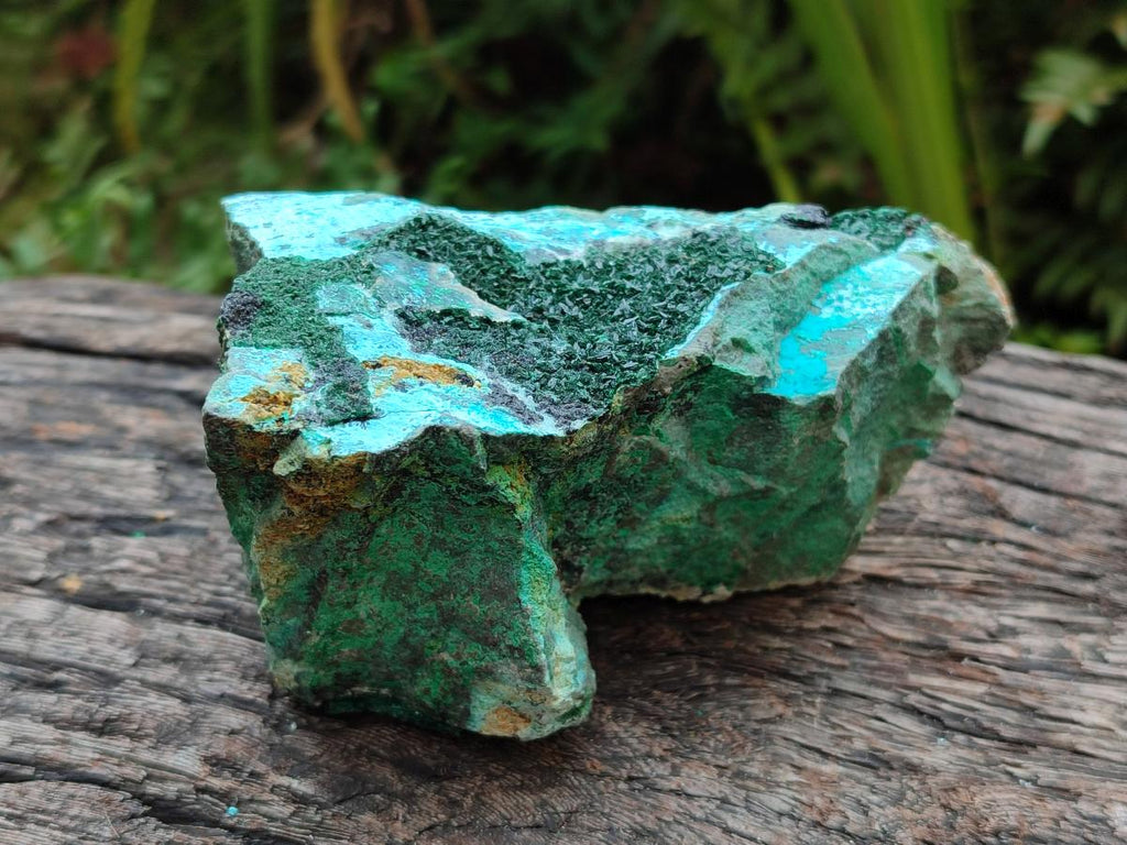 Natural Drusy Coated Chrysocolla with Malachite and Dendritic Psilomelane Specimens x 3 From Likasi, Congo - Toprock Gemstones and Minerals 