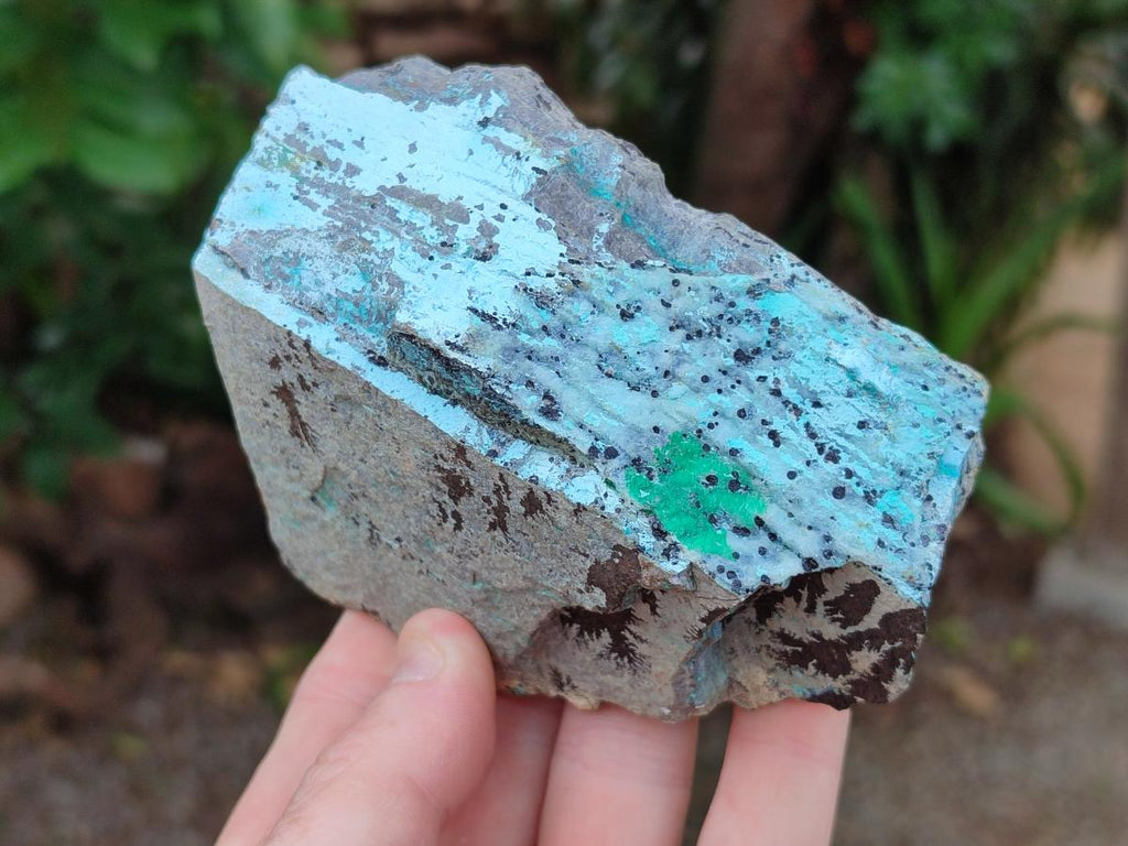 Natural Drusy Coated Chrysocolla with Malachite and Dendritic Psilomelane Specimens x 3 From Likasi, Congo - Toprock Gemstones and Minerals 